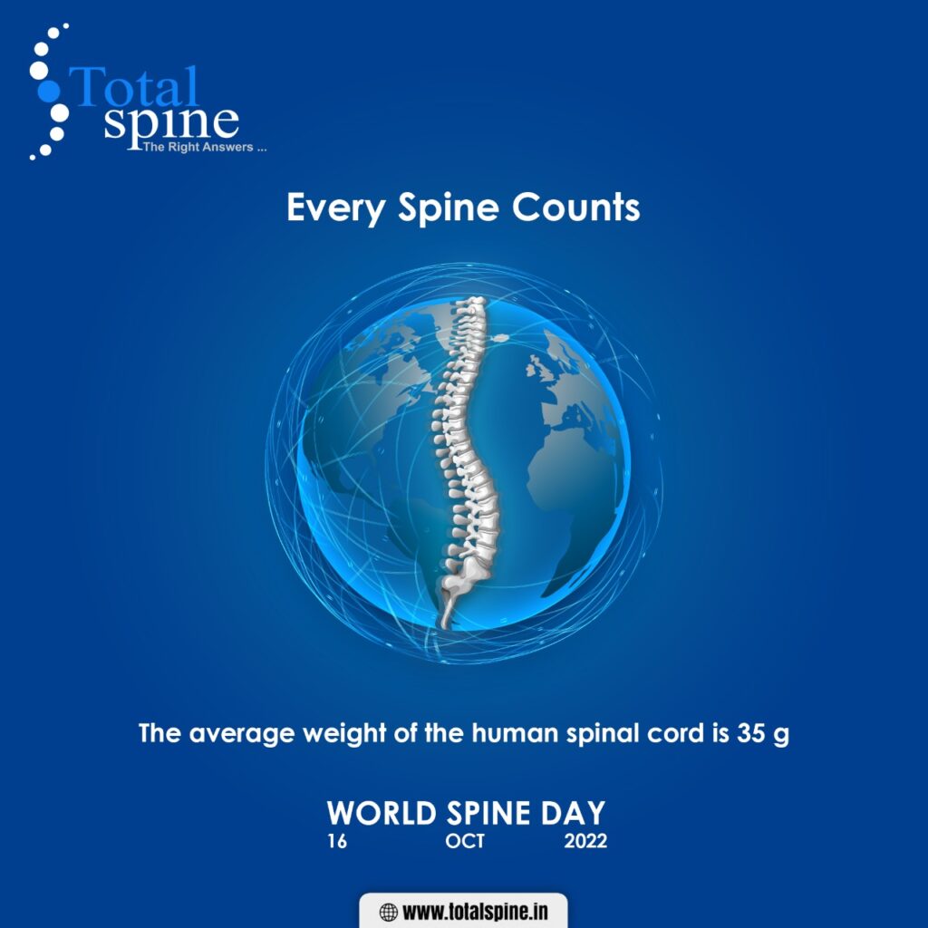 Total Spine Graphic Post 3