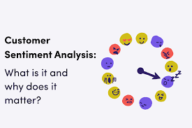Automated Sentiment Analysis Services